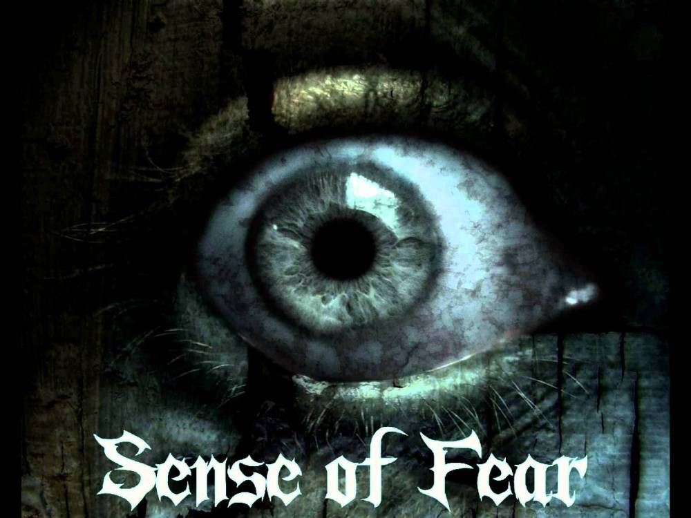 wp-1446652508211 image